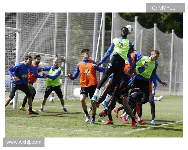 德甲各支球队最新分类表及所属阵营划分